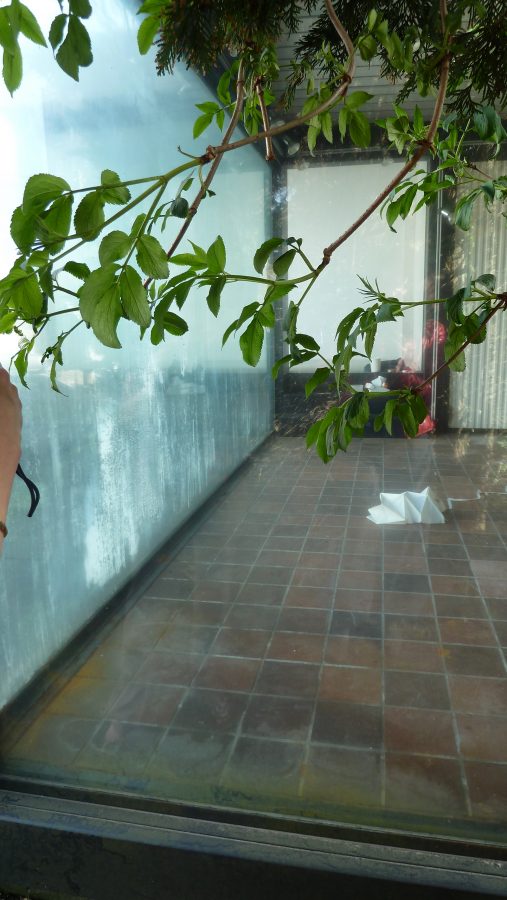 2012_insight out side_Arlon_Collective,festival Les Aralunaires d’Arlon